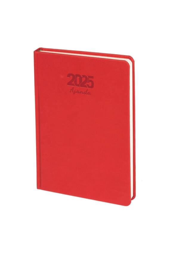 2025 Ajanda 16×24 cm - 6