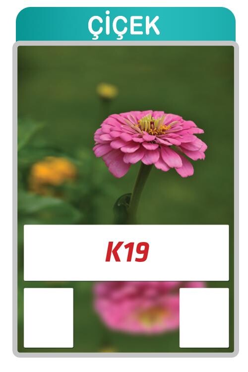 K19