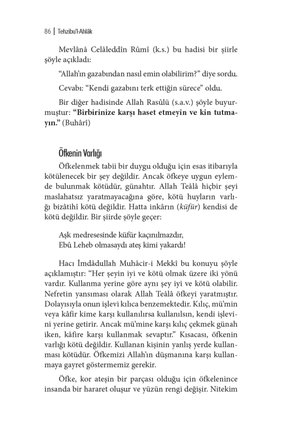 Ahlakı Güzelleştirmenin Yolları (Tehzibül Ahlak Tercümesi) - 7