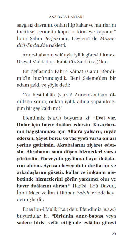 Anne Babaya Iyilik - 9