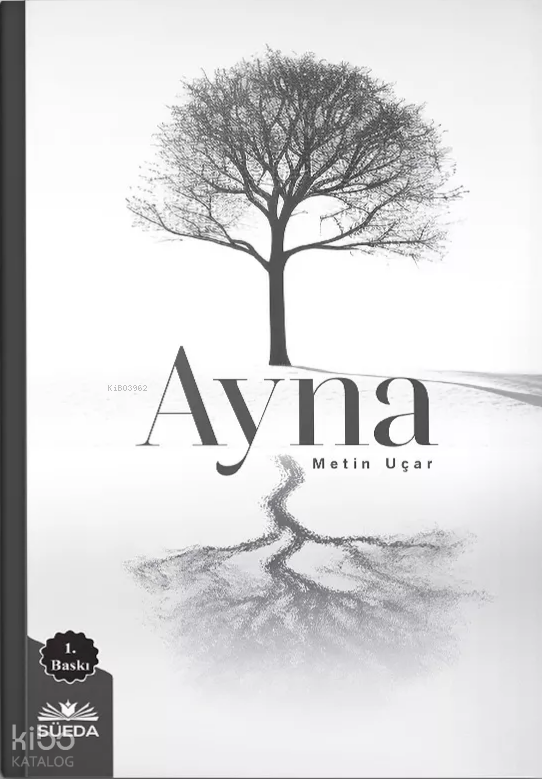 Ayna - 1