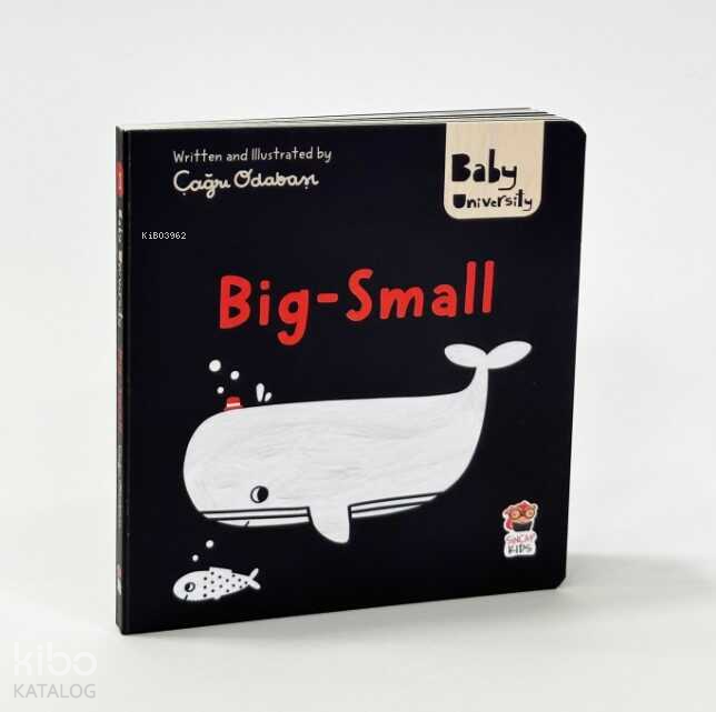 Big Small - Baby University First Concepts Stories - 2