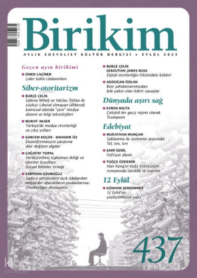 Birikim - 1