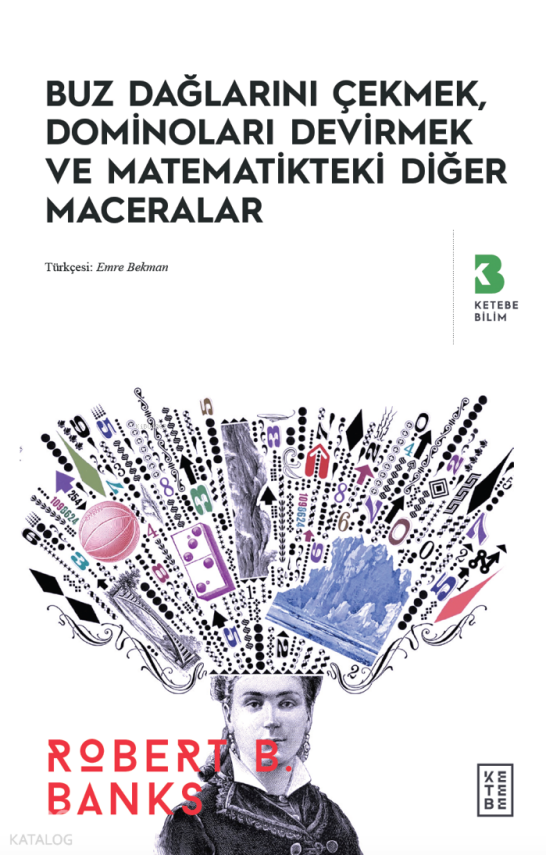 Buz Dağlarını Çekmek, Düşen Dominolar ve Diğer Uygulamalı Matematik Maceraları - 1