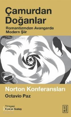 Çamurdan Doğanlar Romantizmden Avangarda Modern Şiir - 1