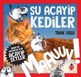 Daha da Küçükler İçin Acayip Şeyler Şu Acayip Kediler - Uğurböceği Yayınları (1)