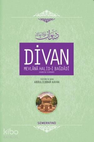 Divan Mevlânâ Halid-i Bagdâdî (Ciltli) - 2