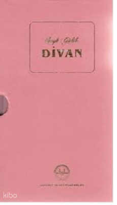 Divan-Şeyh Galib-Kutulu - 1