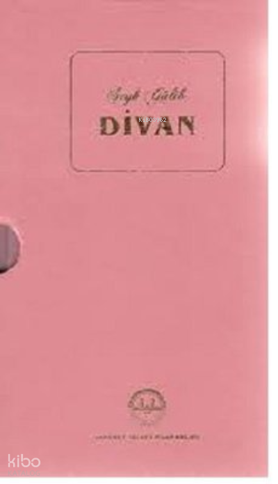 Divan-Şeyh Galib-Kutulu - 1