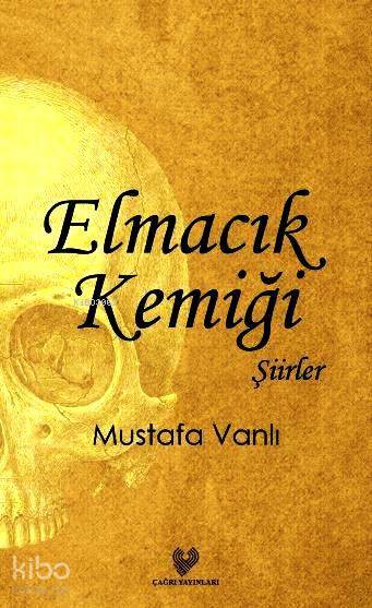 Elmacık Kemiği - 1