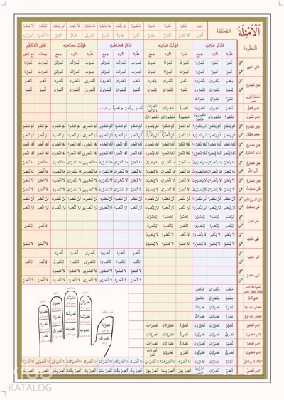 Emsile Bina Şeması Ali Kara - 1