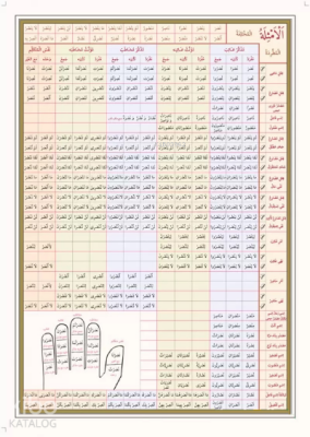 Emsile Bina Şeması Ali Kara - Kitap Kalbi Yayıncılık (1)