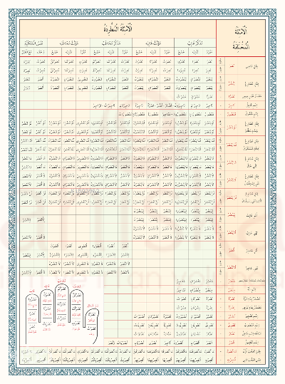 Emsile Bina Şeması Renkli - 2