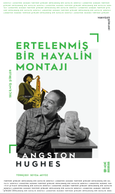 Ertelenmiş Bir Hayalin MontajıSeçme Şiirler - 1