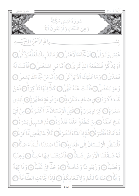 Gölgeli Amme Cüzü Yazı Defteri (Aliyyül Kari İmlalı) - MAYEL (1)