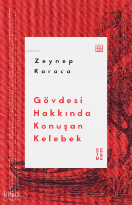 Gövdesi Hakkında Konuşan Kelebek - Ketebe Yayınları