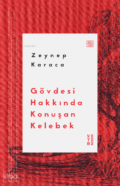 Gövdesi Hakkında Konuşan Kelebek - 1