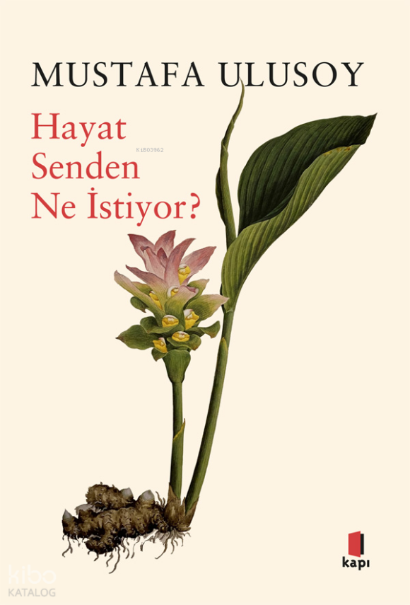 Hayat Senden Ne İstiyor? - 2