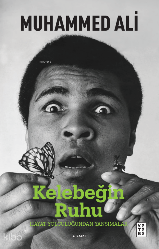 Kelebeğin Ruhu Hayat Yolculuğuna Dair Düşünceler - 1