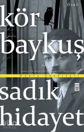 Kör Baykuş - 2
