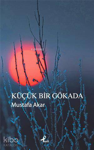 Küçük Bir Gökada - 2
