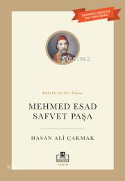 Mehmet Esad Safvet Paşa - 2
