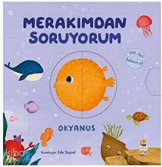 Merakımdan Soruyorum - Okyanus - 2