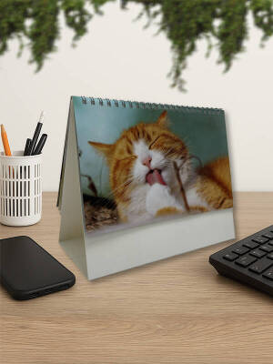 Mevlana Piramit Masa Takvimi 2026 Varyantlı - Mevlana Takvim (1)