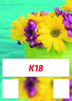 Mevlana Takvim Kartonu - 20