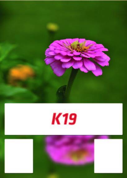 Mevlana Takvim Kartonu - 21