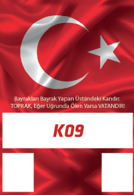 Mevlana Takvim Kartonu - 11