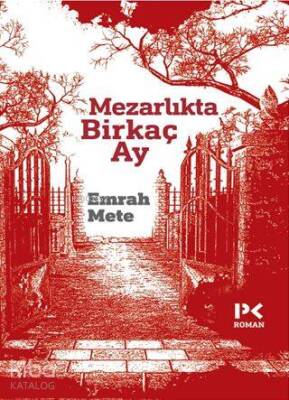Mezarlıkta Birkaç Ay - 2