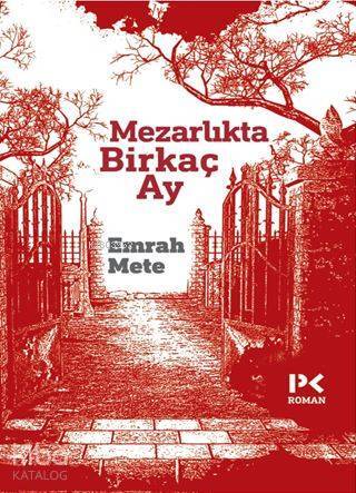 Mezarlıkta Birkaç Ay - 2