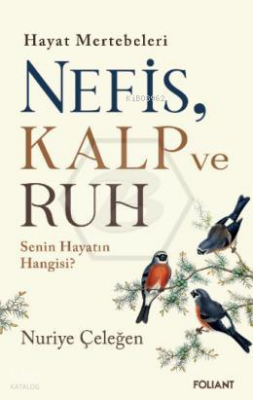 Nefis Kalp ve RuhHayat Mertebeleri Senin Hayatın Hangisi? - 1