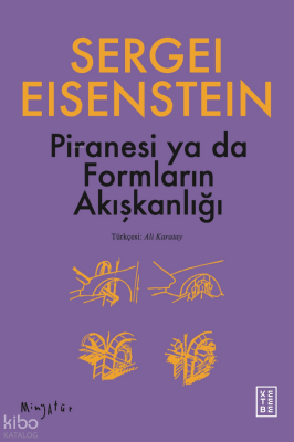 Piranesi ya da Formların Akışkanlığı - 2