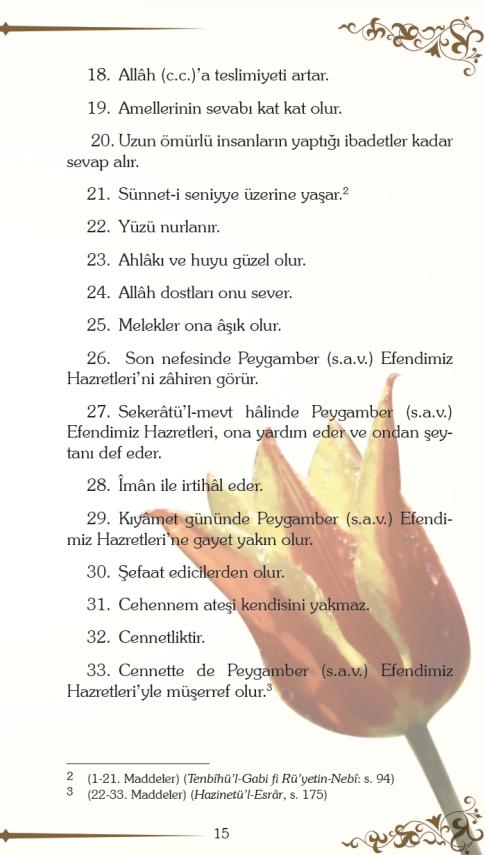 Resullullah (S.A.V.) Efendimizi Rüyada Nasıl Görebiliriz? - 9