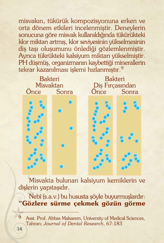 Sağlıklı Yaşam Için Vazgeçilmeyecek Iki Sünnet Misvak Ve Hacamat (CEP BOY) - 6