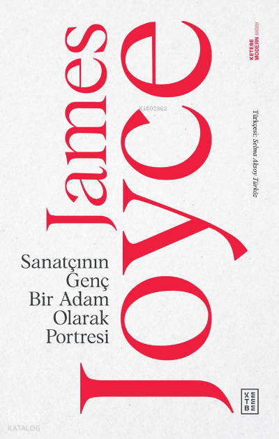 Sanatçının Genç Bir Adam Olarak Portresi - 2
