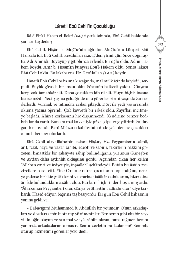 Siyeri Nebi Peygamberimizin (s.a.v) Hayatı (2Cilt Takım) - 8