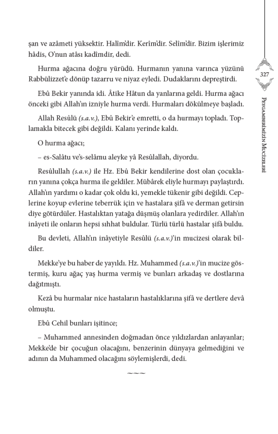Siyeri Nebi Peygamberimizin (s.a.v) Hayatı (2Cilt Takım) - 12