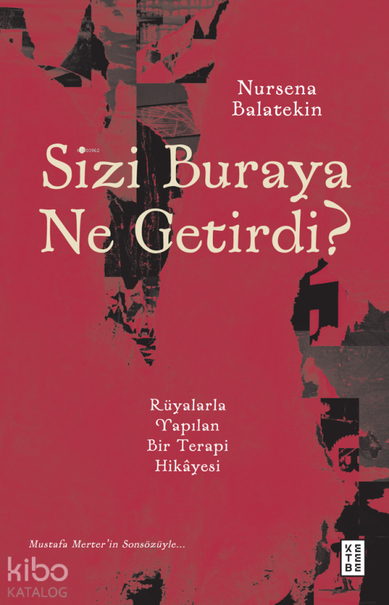 Sizi Buraya Ne Getirdi?Rüyalarla Yapılan Bir Terapi Hikâyesi - 1