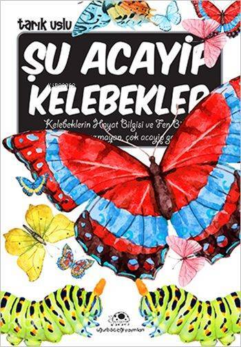 Şu Acayip Kelebekler Acayip Şeyler Dizisi - 2