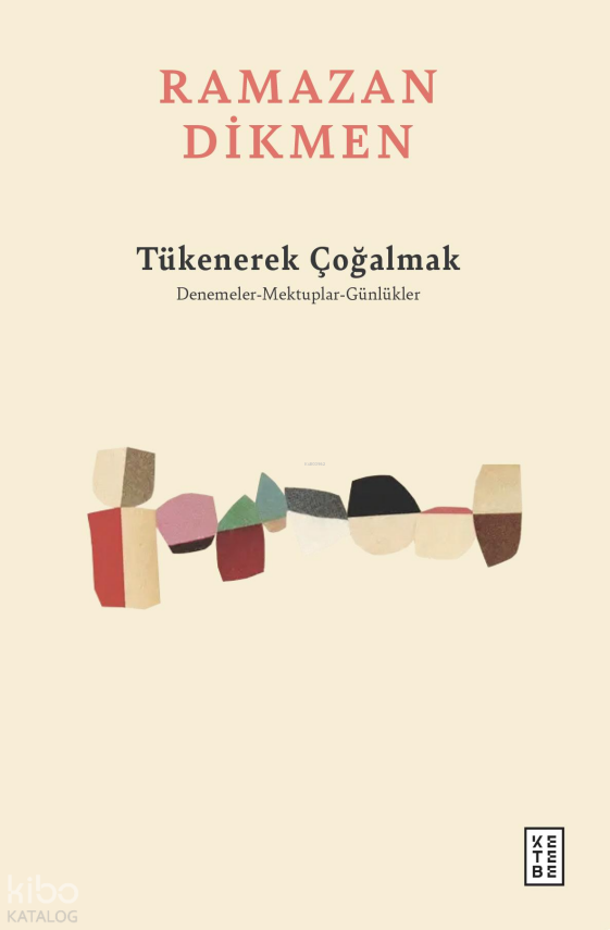Tükenerek ÇoğalmakDenemeler, Mektuplar, Günlükler - 1