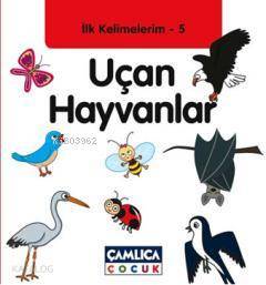Uçan Hayvanlar İlk Kelimelerim 5 - 1