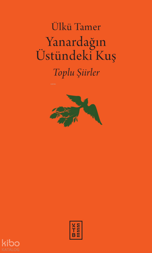 Yanardağın Üstündeki KuşYanardağın Üstündeki Kuş - 1