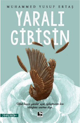 Yaralı Gibisin - Çınaraltı Yayın Dağıtım (1)