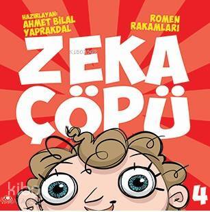 Zeka ÇÖpü-4 Romen Rakmaları - 2